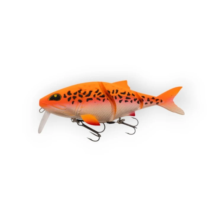 Sweat-Meat-Albino-Koi-1030x1030.jpg