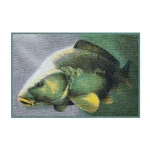 Delphin Wycieraczka Mata Dywanik 3D karp 60x40cm