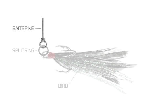 Delphin BAIT SPIKE, M/24mm/10ks (id: 7263)