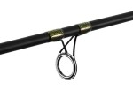 Delphin MURENA, 210cm/100g