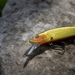 Jerk | Rozemeijer | Flash Twitch 11cm 15g Kinky Gold #6 BKK
