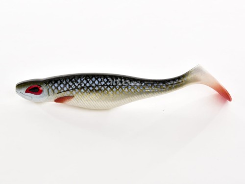 Little Paddle 14cm Natural Roach.jpg