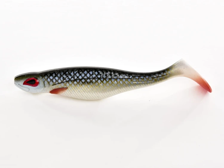 Little Paddle 14cm Natural Roach.jpg
