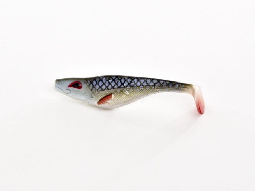 Mini Belly Splash 9cm Natural Roach.jpg