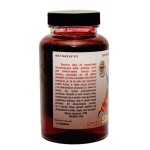 Booster NLT extraSQUID 250ml