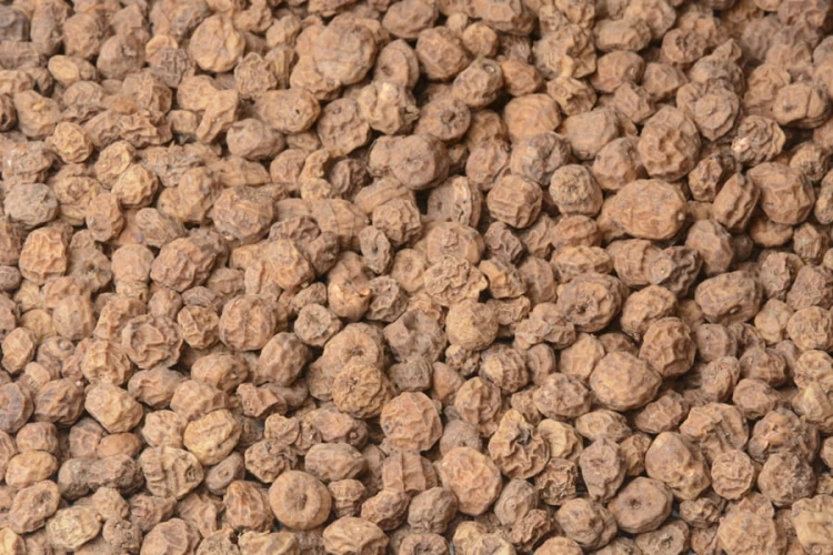 Chufas, orzech tygrysi na karpia  Xufex Standard 8-14mm, 5kg