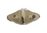 Stopery do kulek proteinowych AVID BOILIE STOP