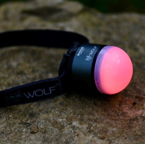 Latarka czołowa | Wolf | MPL-400
